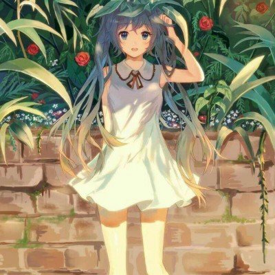 网友给养的栀子花循环《栀子花开》
